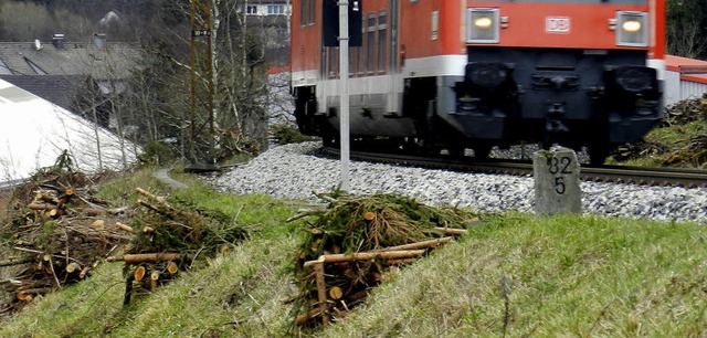 kreuzottern  | Foto: peter stellmach