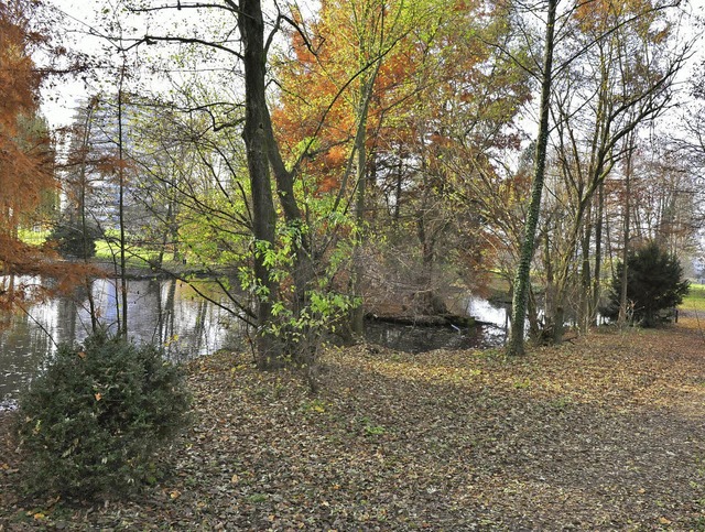 Scheinbare Idylle am See. Ist sie wirklich bedroht?  | Foto: AXEL FLEIG