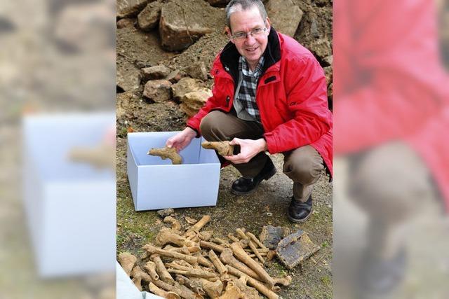 Auf dem Brnnle-Areal wurden Knochen gefunden