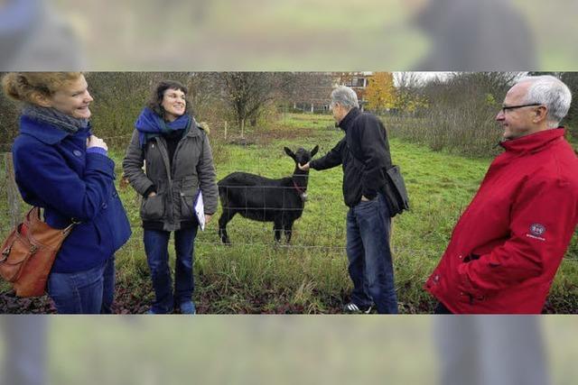 Noch ist unklar, wo Laster langrollen