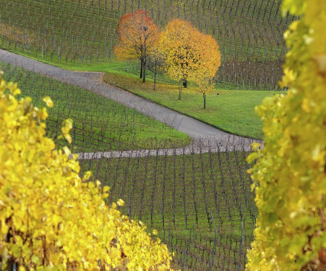 Herbstidylle bei Ehrenkirchen: Die Gem...d im Naturpark Sdschwarzwald werden.   | Foto: Gollrad