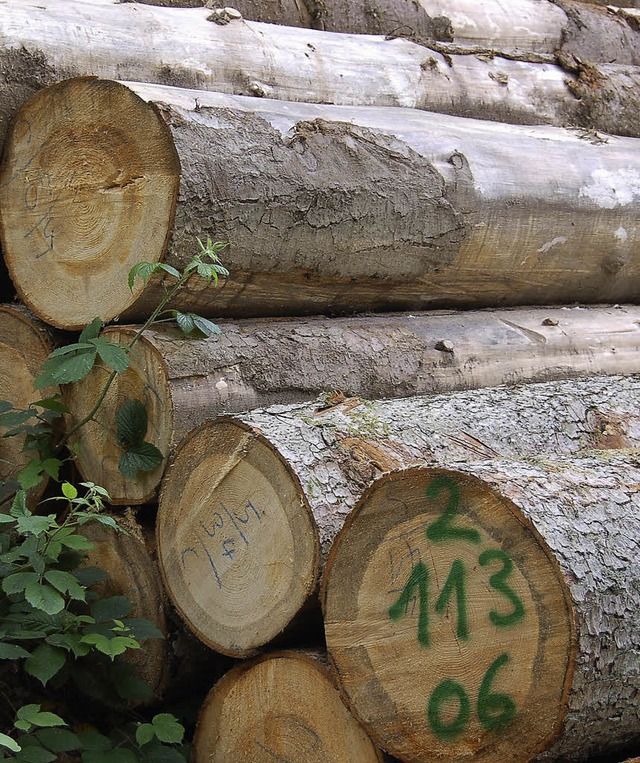 Im Bugginger Wald  liegt das &#8222;Sparbuch&#8220; der Gemeinde.   | Foto: Umiger