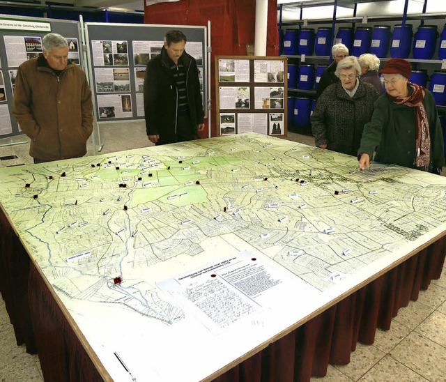 Die Schautafel stellt historische Gewanne dar.    | Foto: dieter fink