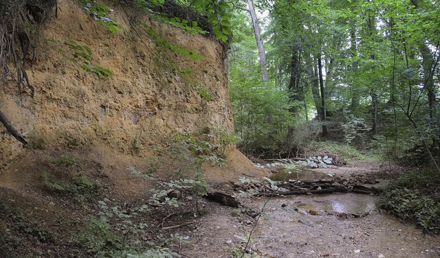 Ist jetzt ein Naturdenkmal: der Ahbach... Das Bild stammt aus dem Sommer 2012.   | Foto: Gallien