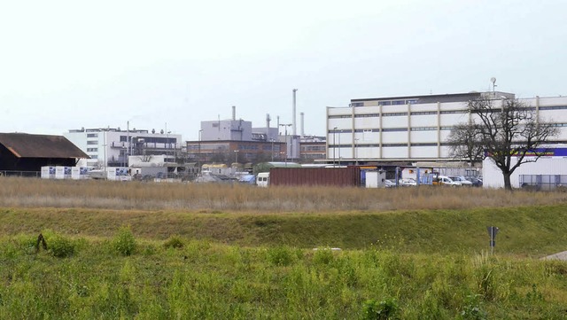 Das Gebiet Wsch Nord ist die jetzt no...re Grnflche in der Mitte des Bildes.  | Foto: Martina Weber-Kroker