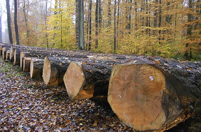 Schtze im  Egringer Wald  | Foto: vl