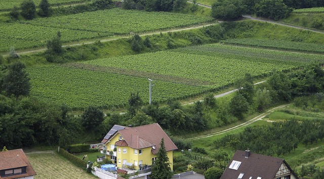 Auf der Rebterrasse in der Bildmitte o... Flche im Sden des Ortes aufgegeben.  | Foto: Stadt Endingen