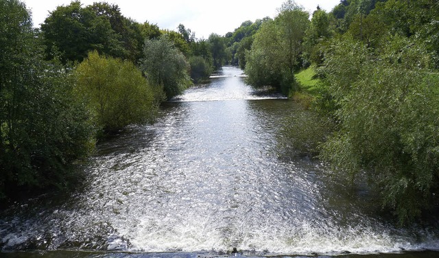 Die Wiese soll eine natrlichere Flieweise erhalten.   | Foto: Claudia Gabler