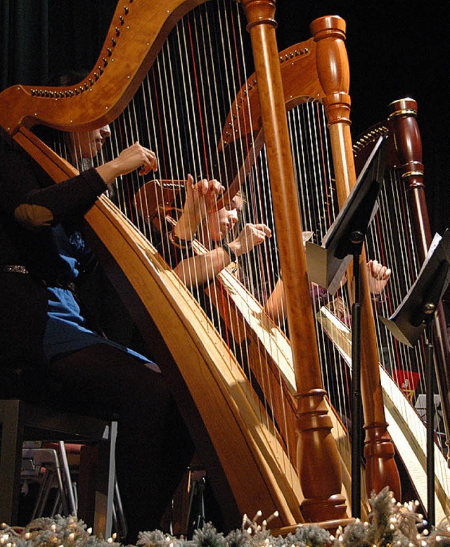 Ob Harfenensemble oder Sprechgesang &#...eitigkeit der Musikschler berrascht.  | Foto: OUNAS