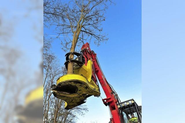 Verkehrssicherung mit Vollernter am Zubringer Mitte