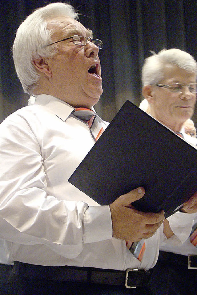 Mit einem groartigen Solo begeisterte...assiv), Hubert Dreyer und  Kurt Renz.   | Foto: Fotos Ingrid Arndt