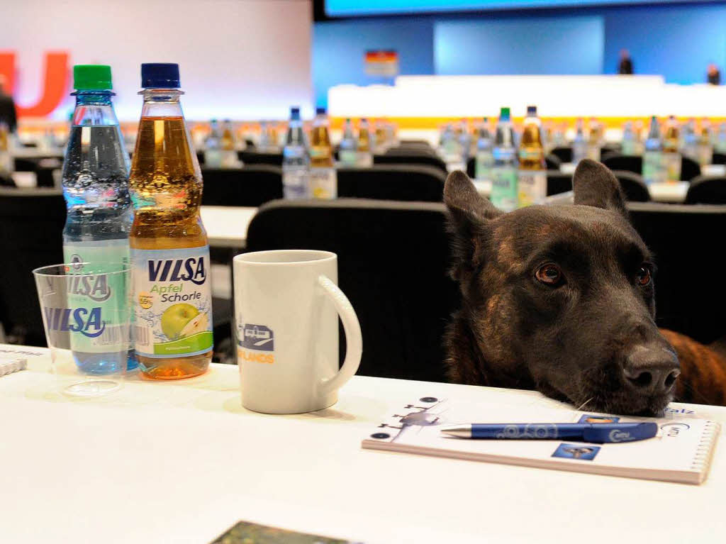 Die CDU setzt auf dem Parteitag auf PET-Flaschen und klassische Give-Aways. Der Hund rechts ist im Dienst, er schnffelt im Auftrag der Polizei nach Gefhrlichem.