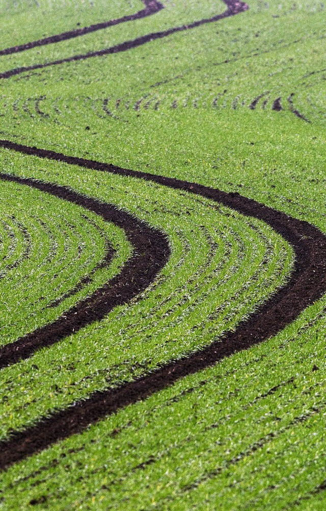 ...Landwirt.  | Foto: dpa/ddp