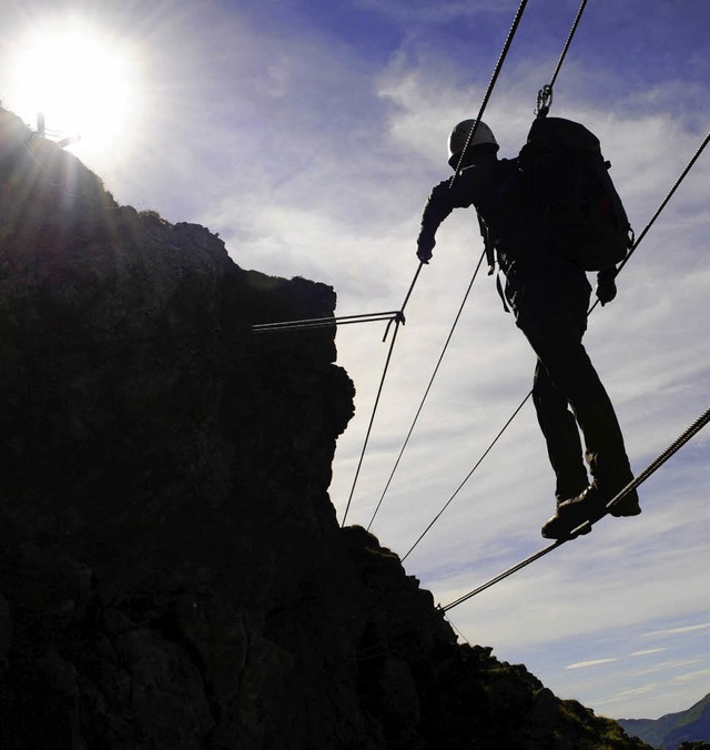 Eine etwas grere Seilbrcke im Kleinwalsertal.   | Foto: dapd