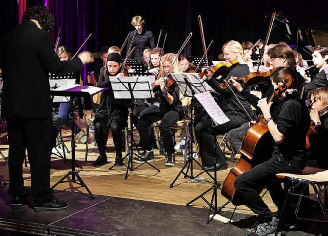 Das Sinfonie-Orchester der Musikschule... begeisterte die Zuhrer im Gymnasium.  | Foto: Gabriele Zahn