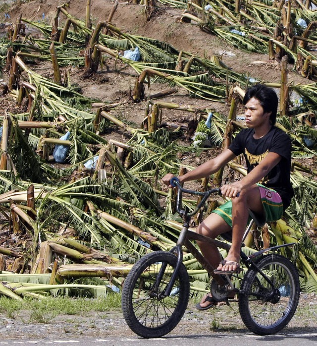 Die Bananen dieser Plantage im Compost...st 200000 Philippiner brauchen Hilfe.   | Foto: dpa