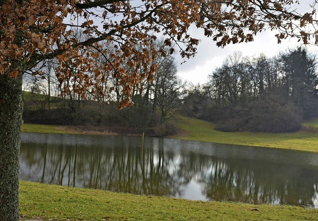 Mal ist er da, mal ist er weg: Der Eichener See ist ein Phnomen.   | Foto: Andr Hnig