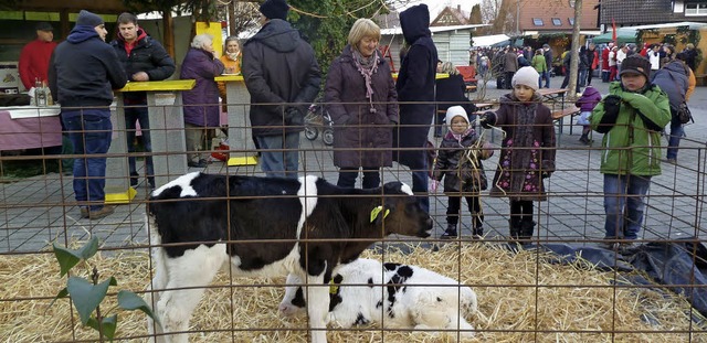 Klbchen gab es auf dem Adventsmarkt zu bestaunen.    | Foto: dieter fink