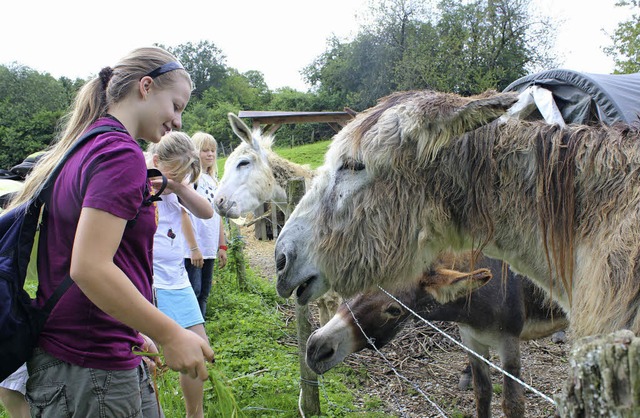 Aktion mit Kuschelfaktor: Die Eselstou...m nchsten Frhsommer wieder ansteht.   | Foto: Anja Bertsch