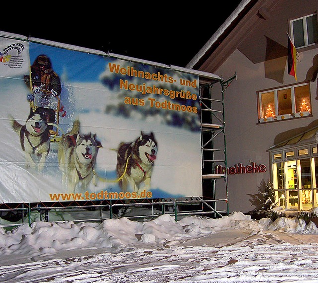 Ein echter Blickfang ist das Riesen-Pl...tmoos bei der Apotheke aufgehngt hat.  | Foto: Hans-Dieter Folles