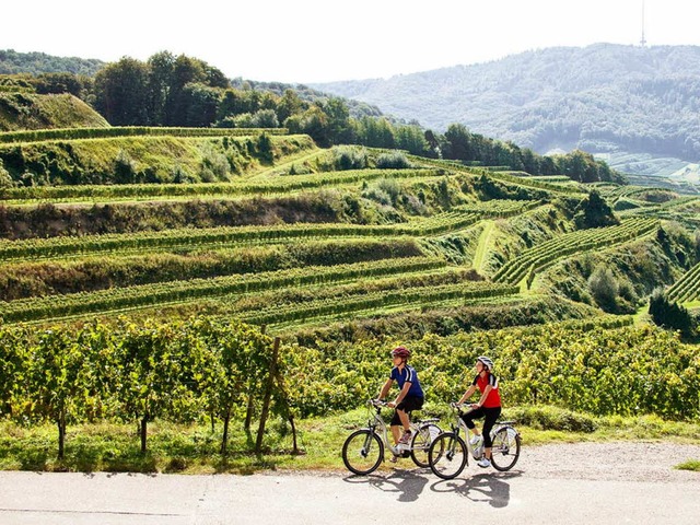 Wer schon mal hier war, der wei es: D...serstuhl hat Urlaubern viel zu bieten.  | Foto: Naturgarten Kaiserstuhl GmbH