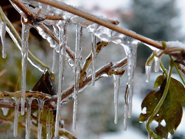 Die Zeit der Eiszapfen ist bald vorbei.  | Foto: dpa