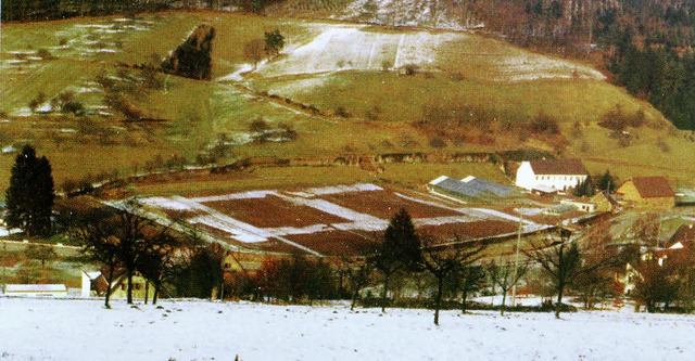 Das Foto zeigt das Grundstck des ehem... den exakten Grundriss des Klosters.    | Foto: Josef Billharz