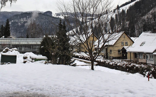 Auf dem Gelnde der ehemaligen Grtner...land entsteht ein Zehn-Familien-Haus.   | Foto: Jacob