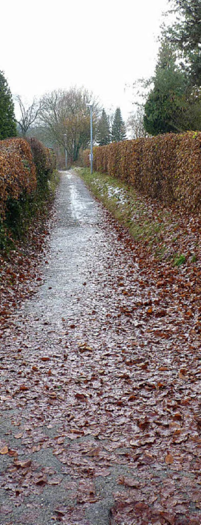 Der alte Kirchweg trennt den Ortsteilf...h vom stdtischen Weingartenfriedhof.   | Foto: C. WEizenecker