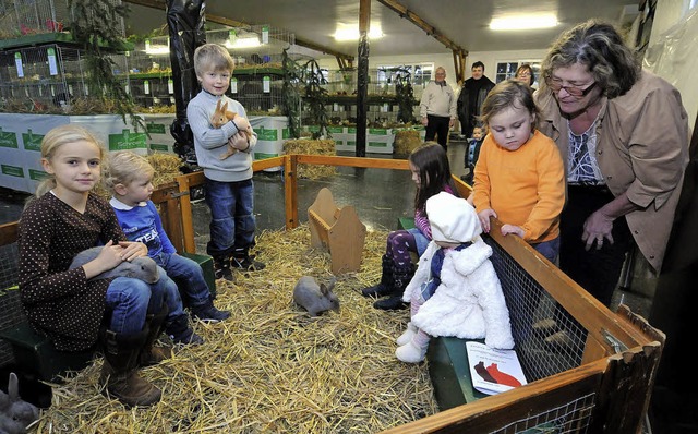 Kommt vor allem bei Kinder an: der Streichelzoo.   | Foto: Wolfgang Knstle