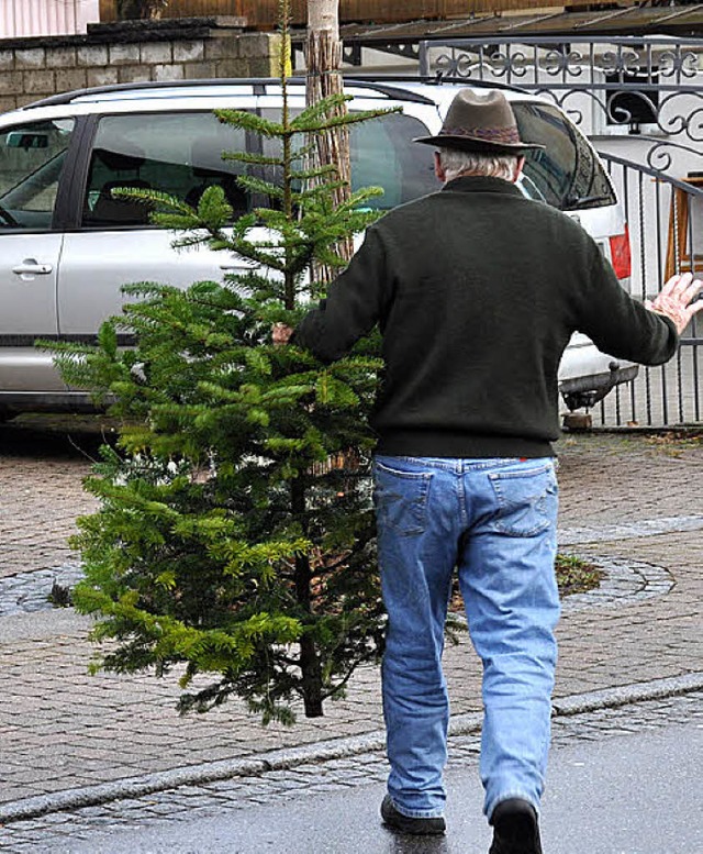 Am Schopf gepackt wurde  dieser Baum, ...nen Weihnachtsbaum geziert zu werden.  | Foto: Julius Wilhelm Steckmeister