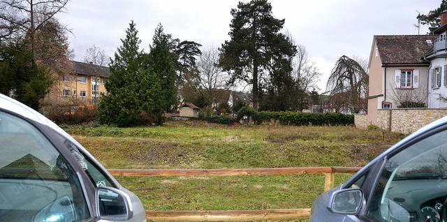 ber den Zaun  schaut man vom Parkplat...r der niedrigen Efeu umrankten Mauer.   | Foto: Babeck-Reinsch