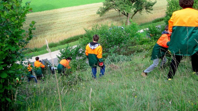 Wacholderheidepflege im Steilgelnde.  | Foto: Privat