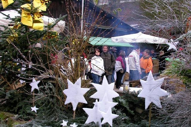 Weihnachtlicher Fohlenhof