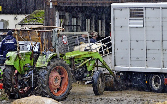 Ein Rind wird auf den LKW eines Viehhndlers geladen.   | Foto: Ralf Dorweiler