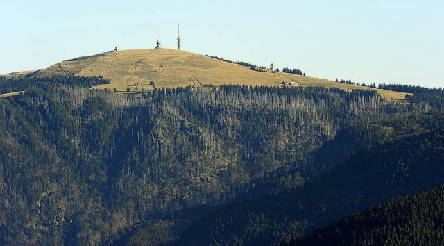 Der Feldberg ist mit 1493 Metern nicht...naturkundliche Bedeutung ragt heraus.   | Foto: Schneider