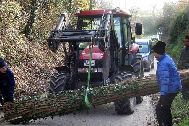 Feuerwehr pflegt Hohlwege