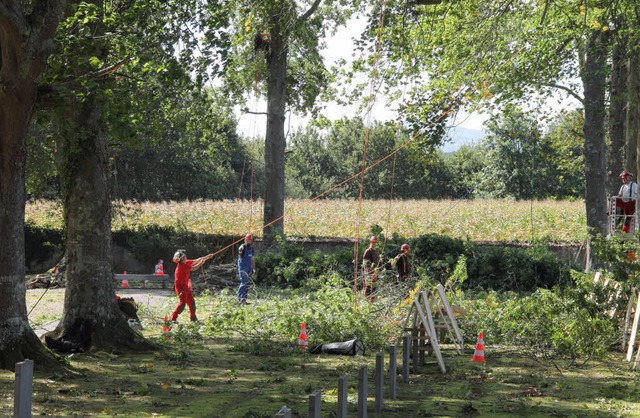Baumpflegearbeiten an der Gedenksttte des Internierungslagers in Gurs.  | Foto: Privat
