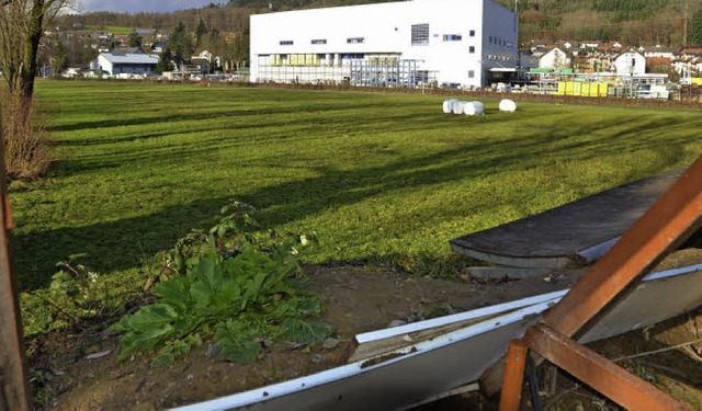 Flche fr geplanten Skaterpark in Obersckingen  | Foto: Michael Krug