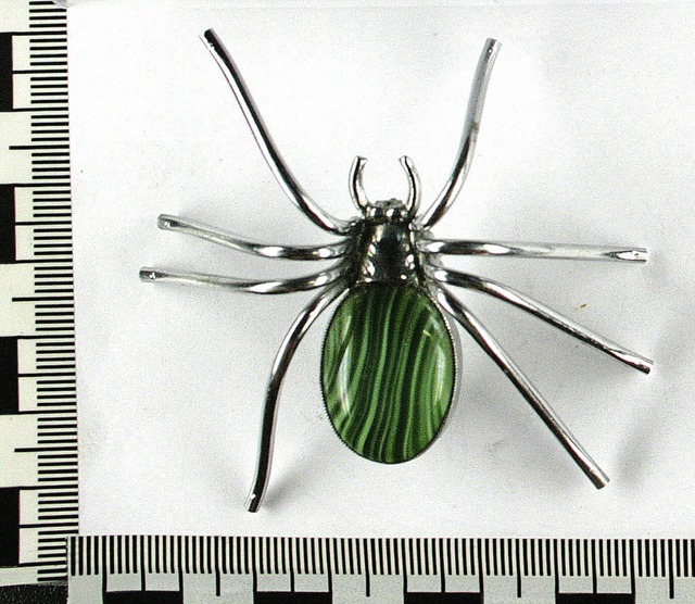 spinne  | Foto: polizei