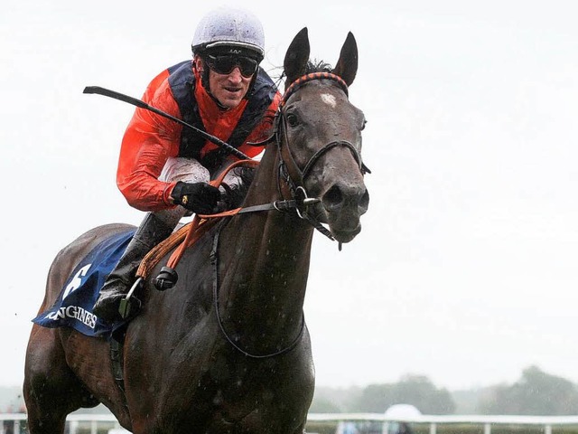 Danedream, hier mit Jockey Andrasch Stark  | Foto: dpa