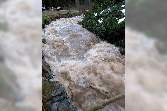 Erhhte Pegelstnde im Dreisamtal