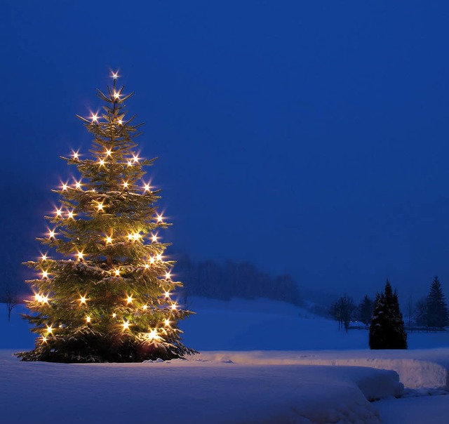 Was gibt es Schneres fr das weihnach...emt als einen Lichterbaum im Schnee?   | Foto: fotolia