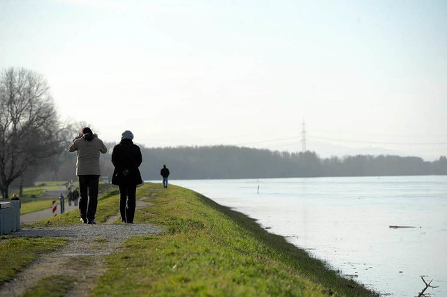 Spaziergnger am Hochwasser fhrenden Rhein bei Karlsruhe.  | Foto: dpa