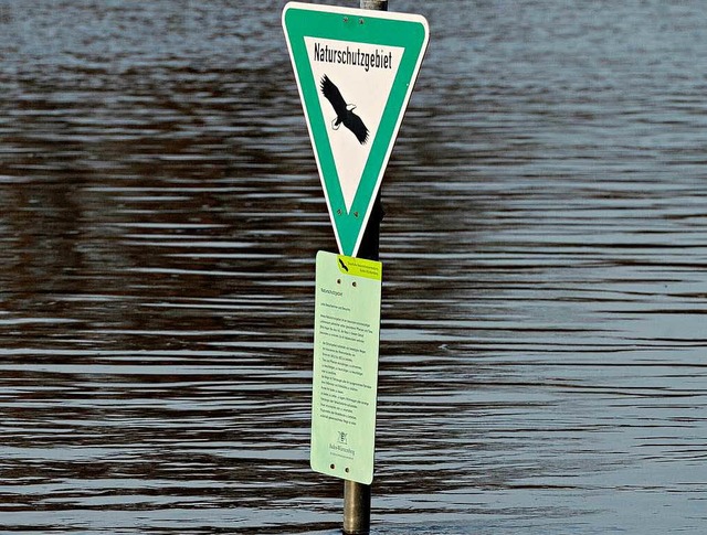 Das Hochwasser am Rhein bei Karlsruhe ...strae wieder aufgenommen werden kann.  | Foto: dpa