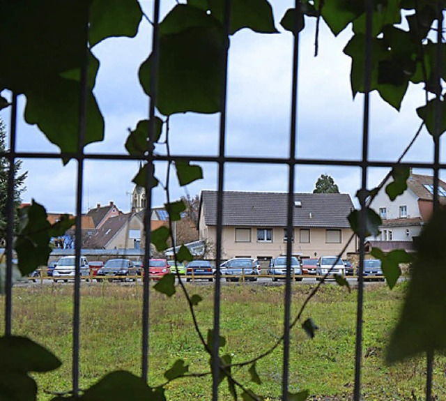 Blick vom Stadtgarten auf das Tenckhoff-Areal   | Foto: BZ