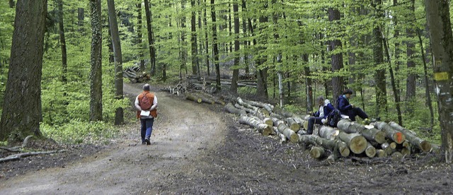 Der Wald hat in Kandern    Naherholung... auch  eine wichtige  Einnahmequelle.   | Foto: Langelott
