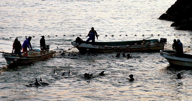 Seit Sommer wird wieder gefischt.  | Foto: usage worldwide, Verwendung weltweit