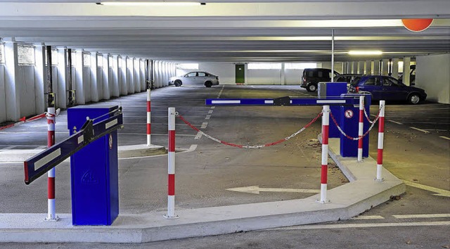 Nicht an Parkpltzen, sondern an Parke...dagogischen Hochschule am Kunzenweg.   | Foto: Thomas Kunz