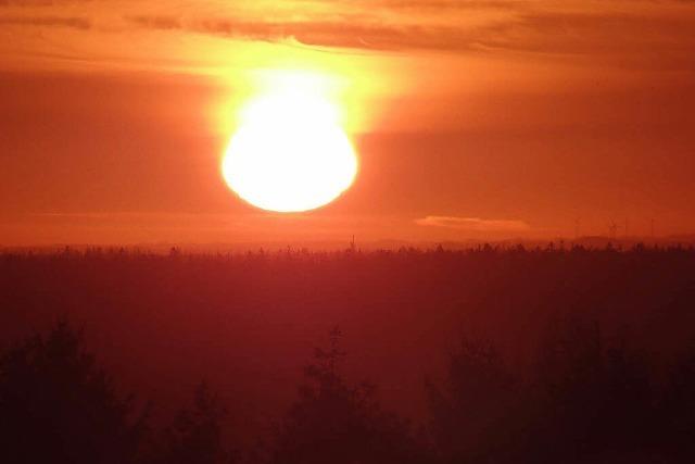 Segeten verteidigt Titel als Sonnensieger